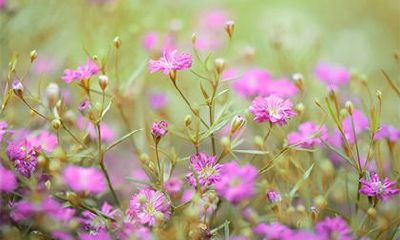 2022虎年三月初九当天老黄历宜装修动土吗？