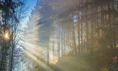 农历2022年三月初七日子吉利吗？可以不可以装修动土？