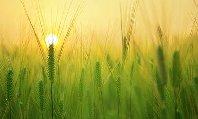 2022年农历三月初二的日子好吗？装修动土好不好？