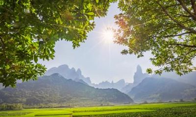 夏至是怎么计算推出来的,夏至之后是什么节气?