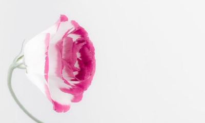 水瓶座是怎样凭实力单身的？