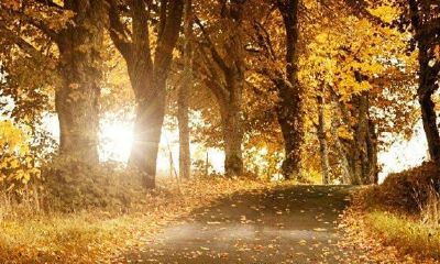 算命的说命硬是什么意思 即生辰八字不好