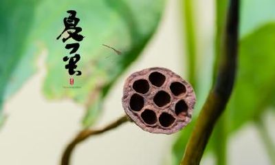 夏至吃狗肉的由来,夏至养生要注意什么?