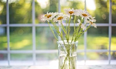 2022虎年七月初九是求婚的吉日吗？