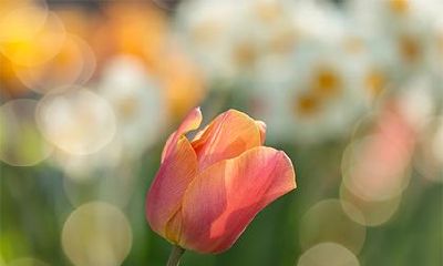 2022年农历七月十二日求婚日子合适吗？