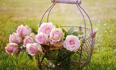 2022年七月十三日可以求婚吗？是求婚的吉日吗？