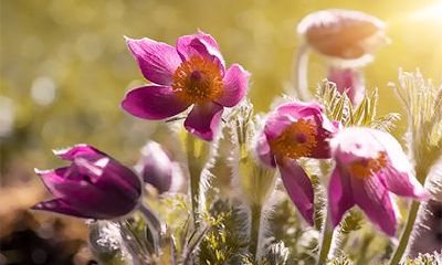 2022虎年七月十四日是适合求婚的黄道吉日吗？