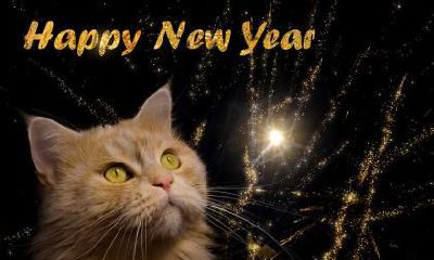 2022年虎年新年春节对联分享！春节寄语大全