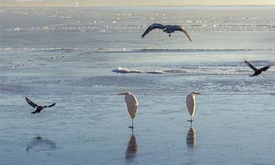 2022年三月初八日子好吗？是出行的吉日吗？