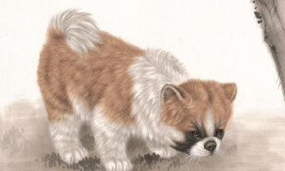 谁才是十二生肖中最富有的生肖？一起来看