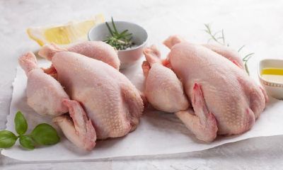 梦到自己家鸡去世了