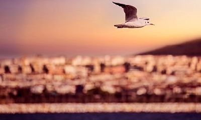 2022壬寅年三月十二黄历日子好吗？适合出远门吗？