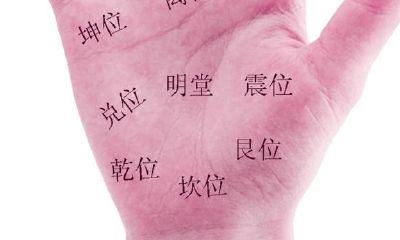 手掌九宫八卦诊病法！看手相，知健康！