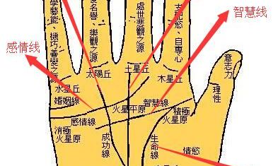 手相中那几条线的作用和吉凶