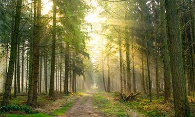 2022年农历三月十六日出行好吗？可不可以出远门？