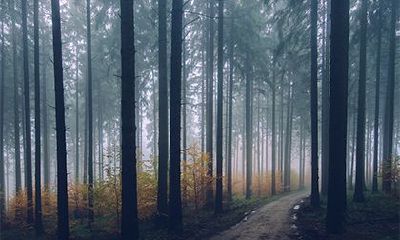 2022壬寅虎年三月十七当天能不能出行？