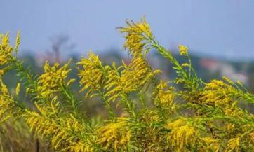 为什么北方小年和南方小年不一样 有何区别