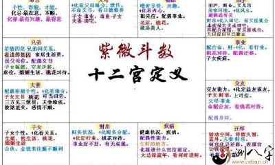 紫微斗数星盘与十二宫位的关系