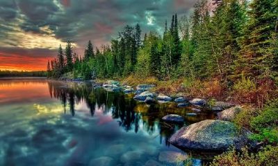 紫微斗数-命宫在十二宮位之現象