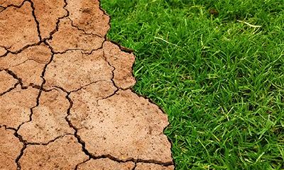 路旁土命纹什么纹身招财？路旁土命人家里放什么聚财？