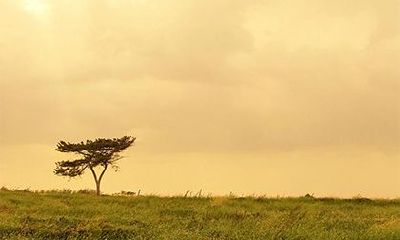 2022虎年三月二十二的日子好吗？是适合出远门的吉日吗？