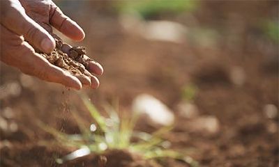 路旁土命的女人的命运，路旁土命的女人旺夫吗？