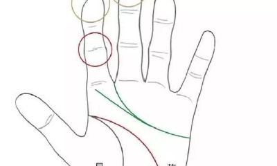 手相是怎么看的？你有被“老神仙”看过吗？快来学学