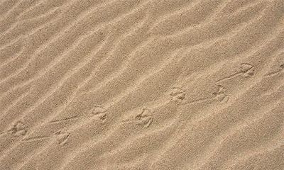 路旁土命和什么命最配？路旁土命最怕什么相克？