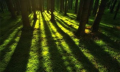 2022年农历三月二十七日子怎么样？可以出远门吗？