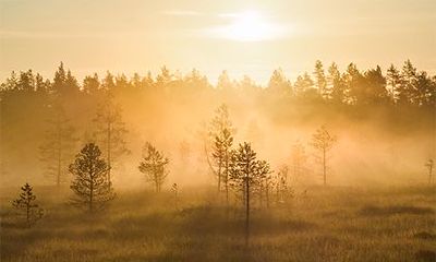 2022年农历三月初一这天是剪头发的黄道吉日吗？