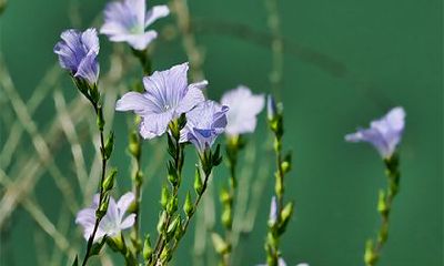 2022虎年农历三月初四剃头好吗？宜理发吗？