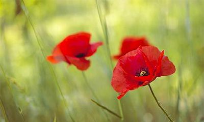 2022年农历三月二十三日适不适合向女朋友求婚？