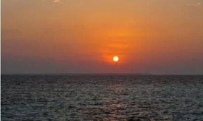 2019年7月27日干支运势分析