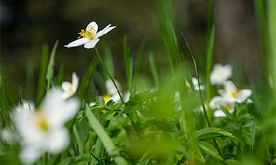 2022壬寅虎年三月二十二日是求婚的好日子吗？