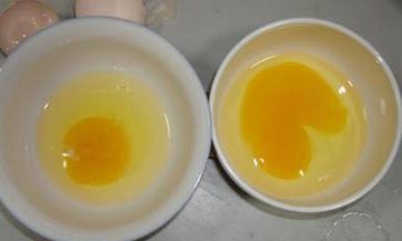 藏獒的名字大全