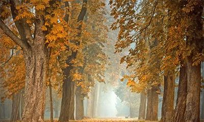 财多身弱必定富贵惊人吗？给财旺身弱人的建议