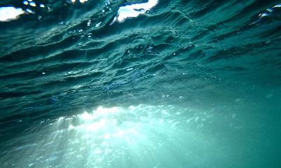 天月二德必生贵子是什么意思？天月二德是什么？