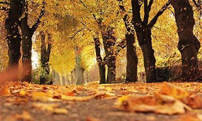 为什么女有庚申就有天月两德？天月俩德贵人的影响