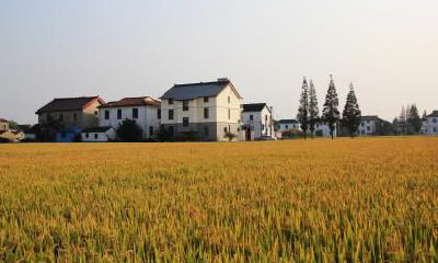 2022虎年正月二十五装修房子好不好？