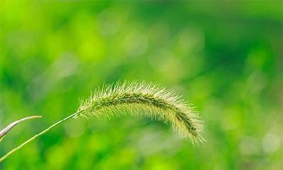 2022年虎年三月十二的老黄历可以剪头发吗？