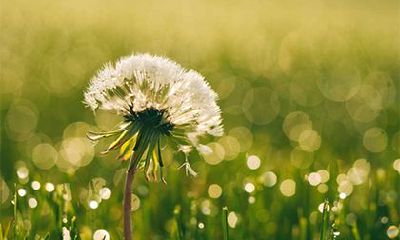 2022年虎年三月十七日是适合求婚的日子吗？