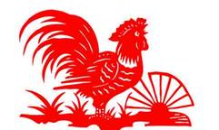 属鸡人的后半生，尤其是出生这个年份的