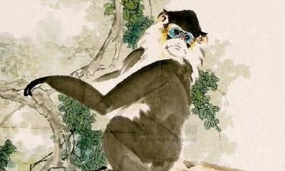 变脸最快的3个生肖，一旦分手，立马找新欢，尤其是生肖猴