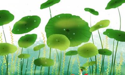 立夏可以夜钓吗？夜晚外出钓鱼需要注意什么？