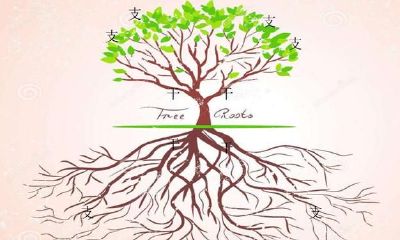 奇门遁甲的科学原理