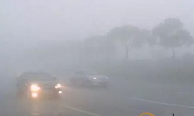 梦见大雾与雷电