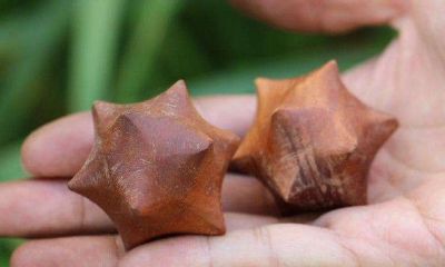 梦到自己身旁全是刺