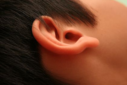 面相说耳朵_面相中耳朵代表什么意思_最好的耳朵面相