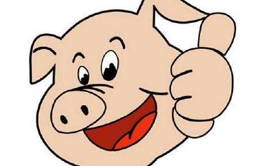 属猪的本命佛是哪尊佛 属猪的守护神是啥神