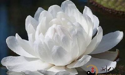 梦到身心健康的亡故